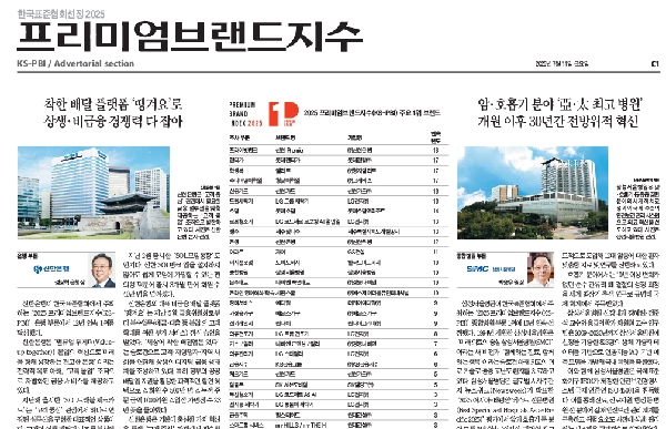 2025 조선일보 특집기사 대표이미지